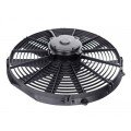 Fanlar