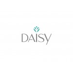 White Daisy